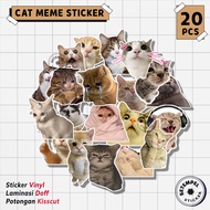 CAT MEME Sticker Pack 20pcs | Meme aesthetic paint stickers