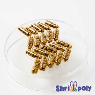 Root Tab Capsules Nutrient Aquarium Plants
