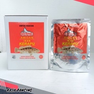 Amisan Djempol Grouper - Rainbow grouper fishing bait - Djempol Grouper - Rainbow Grouper