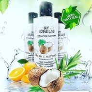 shampoo santan my home lab
