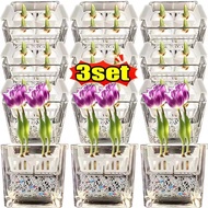 1/2/3Pcs Tulip Hydroponic Kit Clear Acrylic Root Monitor Sturdy Square Basin 4 Hole Basket Easy Wind