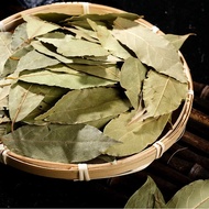 Wholesales Bay Leaf Herb Plant Laurel Leaves for Cooking Laurel Tree Leaves 500g