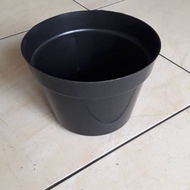 Pot size 30cm