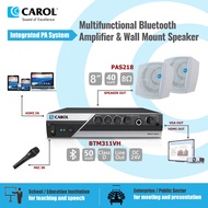 CAROL BTM311VH & PAS218 Multifunctional Bluetooth Amplifier & Wall Mount Speaker for announcement, B