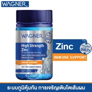 Wagner High Strength Zinc 120 Tablets Maintain Immune System Hair Growth Skin Rejuvenation