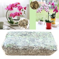 12L Sphagnum Moss For Plants Moss Sphagnum Nutrition Organic Fertilizer For Orchid Phalaenopsis Musg