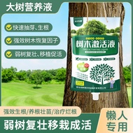 Tree Activating Liquid Big Tree Hanging Needle Universal Nutrient Solution Transplanting Flower Tree