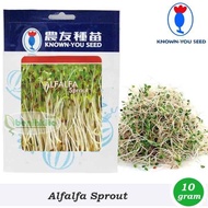 Benih - Bibit Alfalfa Sprout (Known You Seed)