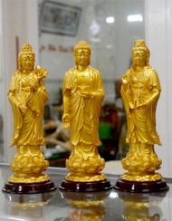 [HCM]Bộ ba tượng Phật Tây Phương Tam Thánh cao 26cm-Nhiều mẫu. Văn hóa phẩm Phật giáo uy tín giá tốt