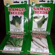 Flowering Pichay Radish  Mustard seeds ramgo brand