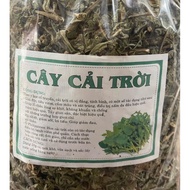 Heavenly mustard plant, heavenly mustard plant helps improve goiter (Extremely good thyroid butterfl