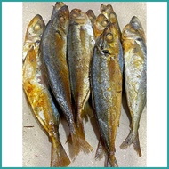➖ ┓ ∪ Tinapang Galunggong / Tinapang Bataan / fresh vacuum sealed/ quality masarap malinamnam hindi