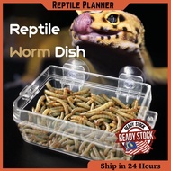 Reptile Worm Dish Feeder Feeding Food Water Bowl Plate Anti-escape Gecko Snakes Chameleon Iguana Lizard（爬虫食盆/水盆）