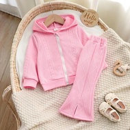 Baby Girl Clothing, Baby Girl Autumn And Winter Hooded Texture Jacket Set, Baby Clothing Set, 6-9M-2