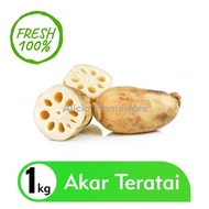 Akar Teratai Lotus Root