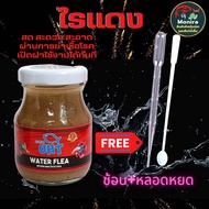 อาหารปลา (ลูกน้ำ/ ไรแดง /อาร์ทีเมีย )Fish Food UHT