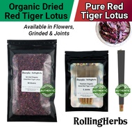 Organic Red Lotus / Red Tiger Lotus Flower / Tea (Promotes Lucid Dreaming) 红莲花睡莲花茶 - With RAW Rollin