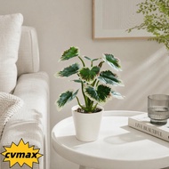 CYMX evergreen foliage potted table ornament, green 12.2in washable artificial foliage desktop decor