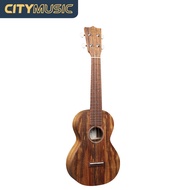 Martin C1K Concert Ukulele with Solid Hawaiian Koa Top Back and Sides Hardwood Neck Sipo Fingerboard and Gig Bag - Natural