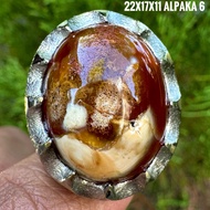 Agate Ring Coralnatural (Natural Original)