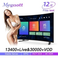 Audiovisual entertainment accessories MAG Europe Program 10000Live M3u Android smart tv US UK France Canada portugal Protective Film 1year/OTT Link/list Service Provider test