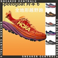Hot Style Business Sports Shoes 24 New Style Men's SPEEDGOAT 6 Speed Antelope 6 Cross Country Cushio