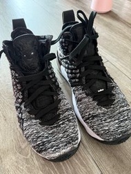 NIKE LEBRON XVII 大童運動籃球鞋