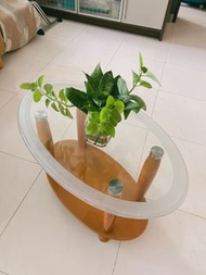 橢圓型茶几 Glass coffee table in Oval shape