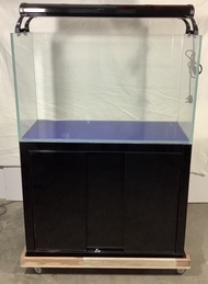 Baru 540L Large Aquarium/ Tank With Black Cabinet