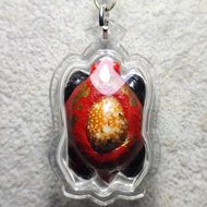 【818泰国佛牌】LP RAK, KRUBA MUANG, KRUBA KITTICHAI 2563 BIAGAE 龙婆喇 古巴牟昂 古巴吉帝猜 财龟挡降贝 限量399尊 SP-2507010