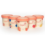 [LOCAL] Sogurt Froyo Ice Cream Mini Bundle-of-5 - Made with Coconut Oil, Contains Probiotics &amp; Prebiotics, Halal