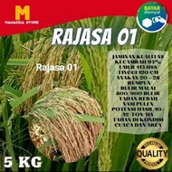 Bibit Padi RAJASA 01 Unggul Berkualitas 5 kg Daun