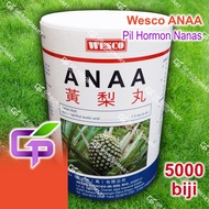 5000 biji WESCO ANAA Pil Hormon Buah Nanas Nenas / Pineapple Fruiting Pill / Alpha Naphthyl Acetic A