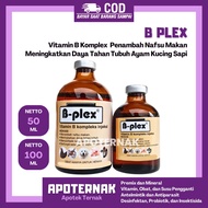 B plex Injection 50ml 100ml PYRIDAM - Animal Vitamin B Complex - B plex B-plex B Complex - Vitamin B