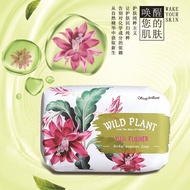 Soap Brilliant Herbal Essence Soap Shampoo Bath Face Wash Facial Cleansing Soap Bath Soap Camellia F
