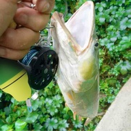 Fish Stringer  6m/7m Practical Lock Buckle for Outdoor Fishing