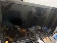 SONY BRAVIA 電視機