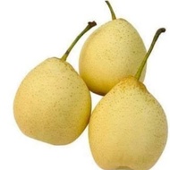 Buah Pear / Pir Yalie Fresh