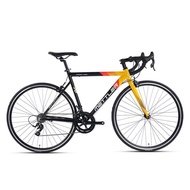 700c High End quality 16 Speed Fast Shift Competition Racing Road Bike Super Light Road Bike