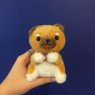 小柴犬 豆柴三兄弟