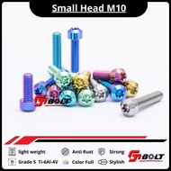 Titanium Bolt Small Head m10 (Thread 14) Grade 5 Titanium Material Ti-6Al-4V