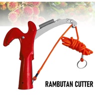 Tree Rambutan Cutter Pruner Trimming Tree Fruit Cutter Gunting Rambutan