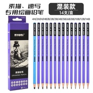 NYONI Sketch Pencil 2B/4B/3b Pencil Painting Pencil Art 14b Pencil SOFT Medium Hard Sketch Charcoal 