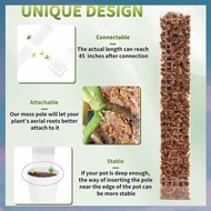[hotkeystore.] Plant Plastic  are Used for Plant Stumps and Peat Moss Support Climbing Plant Poles, 