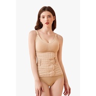 Shapee Belly Band Plus+ Support Belt