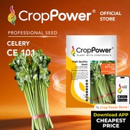 (50 GRAM) Biji Benih Daun Sup Saderi Big Salary 大薪 CE101 CROP POWER Celery seeds  芹菜种子  CE 101