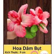 Hibiscus jelly silicone mold W01