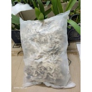 🥰 Spagnum Moss 5 Star Quality/ Rumpai Tanaman Kualiti 5 Bintang 🥰