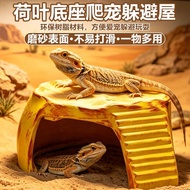 Eye Eyelash Gecko Hide House Lotus Leaf Base Breeding Box Landscaping Climbing Pet Gecko Hide Cave