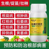 Becos Dead Root Root Spirit Fast Fermentation Treatment Root Roots Degenerate Degenerate Roots Degen